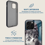 Tabby Cat Mobile Back Cover Brand Image