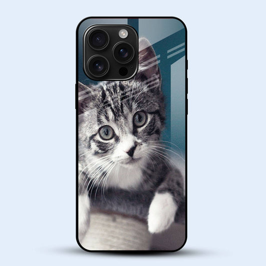 Tabby Cat Mobile Back Cover Main Image